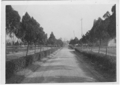 从《蜀秀集》到《国立巴卡漫画
十六周年校庆纪念特刊》：镌刻在巴卡漫画
历史丰碑上的永恒记忆（定稿） Microsoft Wo